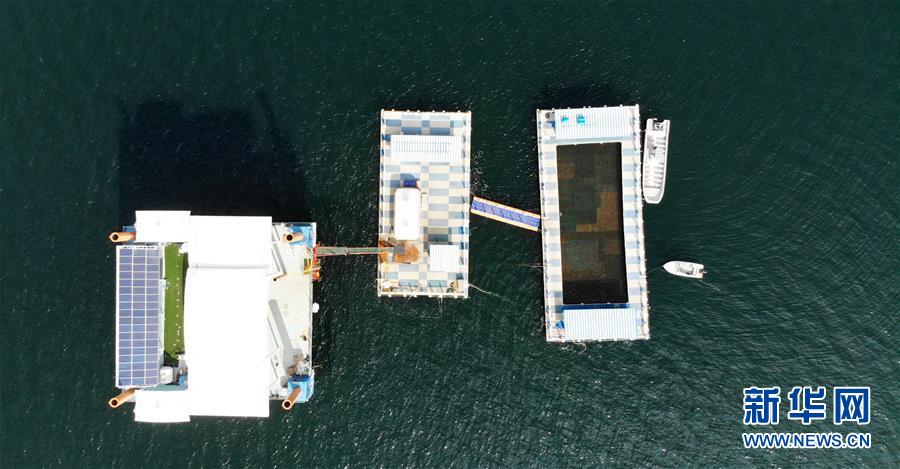 （新華全媒頭條&middot;圖文互動(dòng)）（8）&ldquo;拔&rdquo;海起牧場 &ldquo;耕&rdquo;海新牧歌