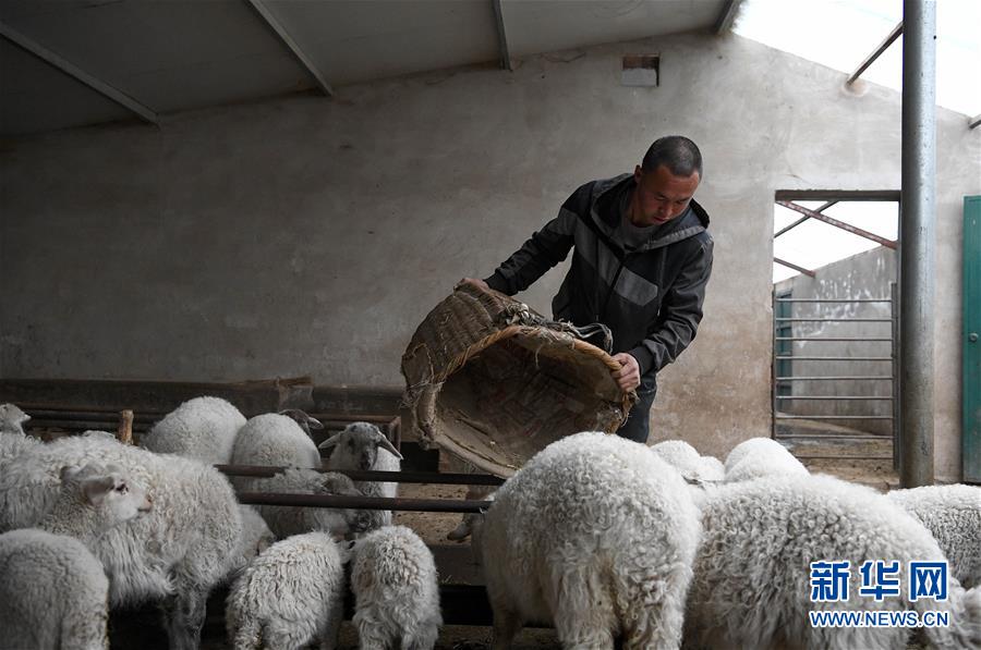 (新華全媒頭條·圖文互動)(1)春天里的5個(gè)“戰(zhàn)貧”瞬間——習(xí)近平總書記關(guān)于脫貧攻堅(jiān)決策部署指引攻克最后的深貧堡壘