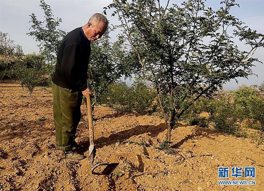 (新華全媒頭條·圖文互動)(4)春天里的5個(gè)“戰(zhàn)貧”瞬間——習(xí)近平總書記關(guān)于脫貧攻堅(jiān)決策部署指引攻克最后的深貧堡壘