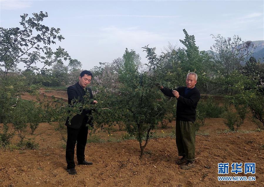 (新華全媒頭條·圖文互動)(6)春天里的5個(gè)“戰(zhàn)貧”瞬間——習(xí)近平總書記關(guān)于脫貧攻堅(jiān)決策部署指引攻克最后的深貧堡壘