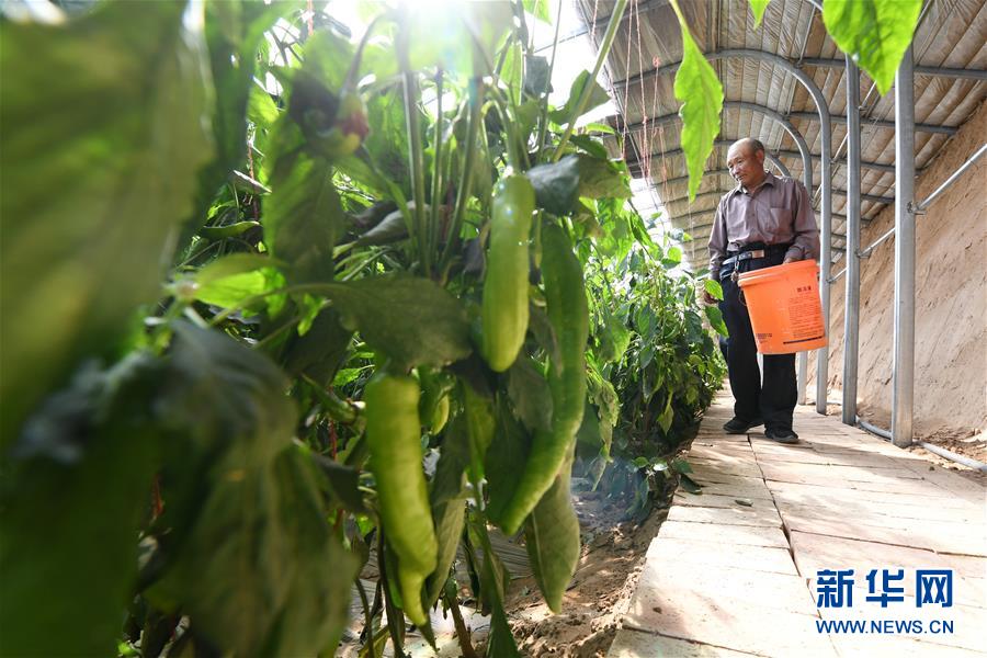 (新華全媒頭條·圖文互動)(15)春天里的5個(gè)“戰(zhàn)貧”瞬間——習(xí)近平總書記關(guān)于脫貧攻堅(jiān)決策部署指引攻克最后的深貧堡壘