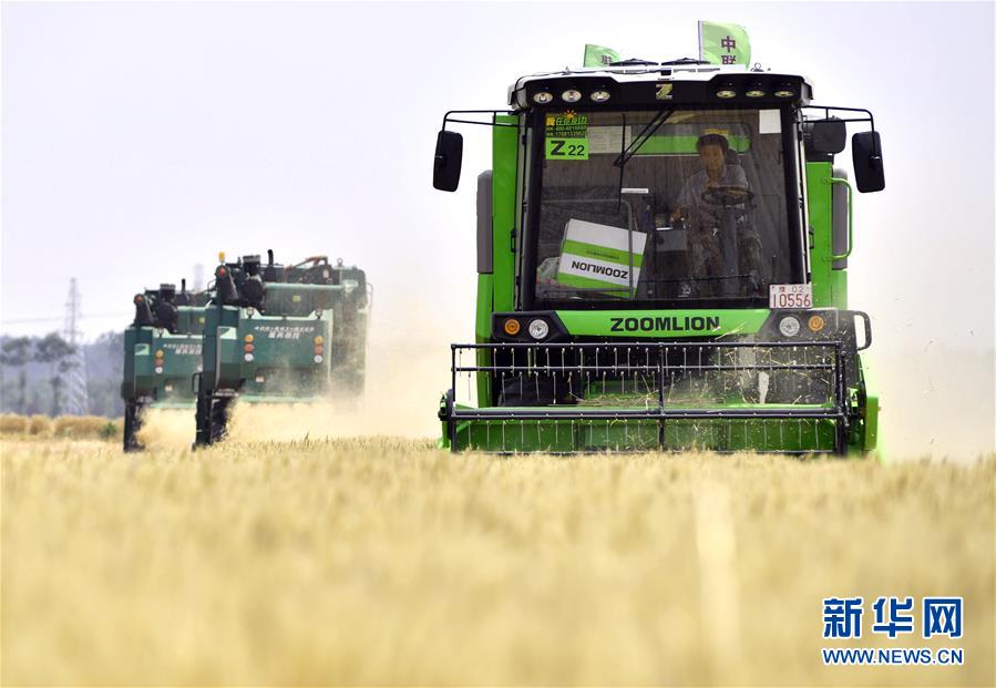 （在習(xí)近平新時代中國特色社會主義思想指引下&mdash;&mdash;新時代新作為新篇章&middot;習(xí)近平總書記關(guān)切事&middot;圖文互動）（12）讓農(nóng)民挑上&ldquo;金扁擔(dān)&rdquo;&mdash;&mdash;農(nóng)業(yè)現(xiàn)代化的生動實踐掃描