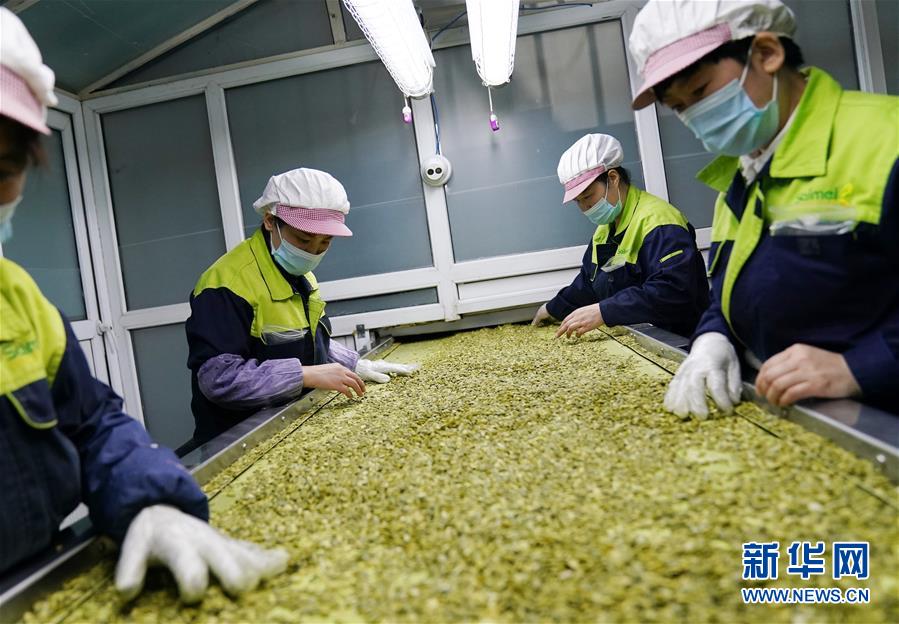 （在習(xí)近平新時(shí)代中國特色社會(huì)主義思想指引下&mdash;&mdash;新時(shí)代新作為新篇章&middot;習(xí)近平總書記關(guān)切事&middot;圖文互動(dòng)）（5）激發(fā)每個(gè)經(jīng)濟(jì)&ldquo;細(xì)胞&rdquo;的活力&mdash;&mdash;千方百計(jì)把市場主體保護(hù)好