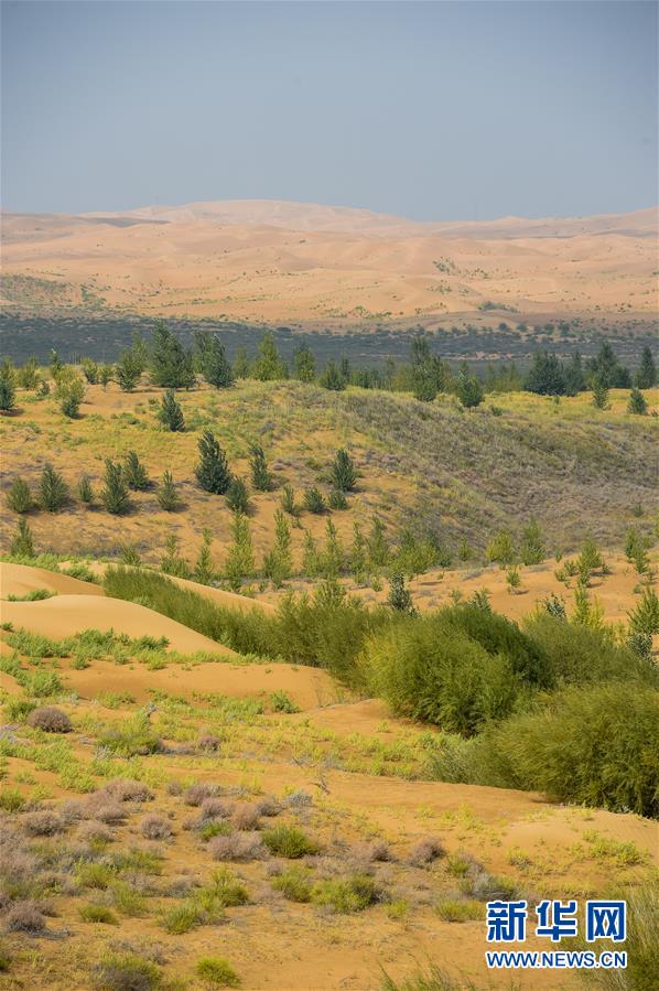 （在習(xí)近平新時(shí)代中國特色社會(huì)主義思想指引下&mdash;&mdash;新時(shí)代新作為新篇章&middot;習(xí)近平總書記關(guān)切事&middot;圖文互動(dòng)）（6）綠意，在黃沙中鋪展&mdash;&mdash;我國防沙治沙紀(jì)實(shí)