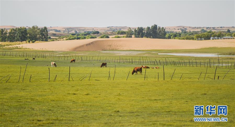 （在習(xí)近平新時(shí)代中國特色社會(huì)主義思想指引下&mdash;&mdash;新時(shí)代新作為新篇章&middot;習(xí)近平總書記關(guān)切事&middot;圖文互動(dòng)）（9）綠意，在黃沙中鋪展&mdash;&mdash;我國防沙治沙紀(jì)實(shí)