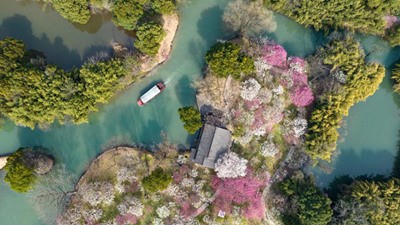 濕地蝶變進(jìn)行時