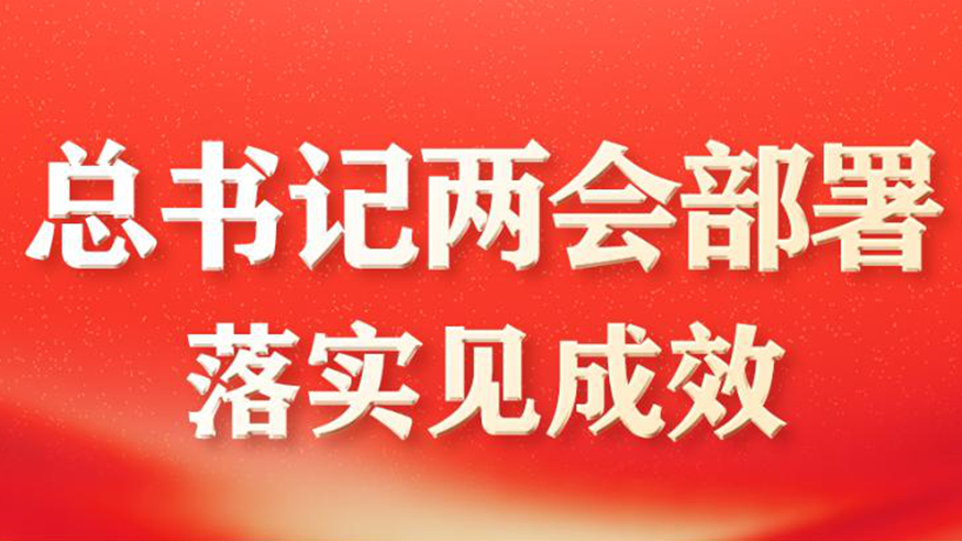 總書記兩會(huì)部署落實(shí)見成效