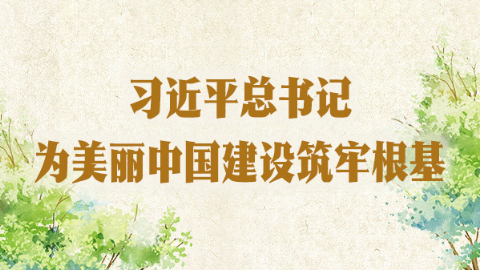 習(xí)近平總書記為美麗中國建設(shè)筑牢根基