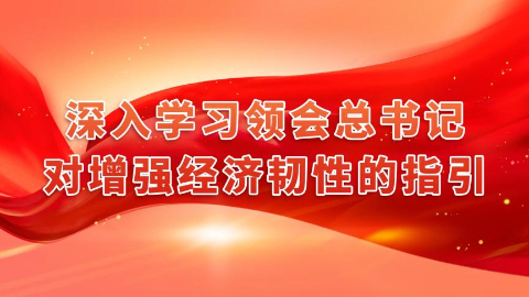 深入學(xué)習(xí)領(lǐng)會總書記對增強經(jīng)濟韌性的指引