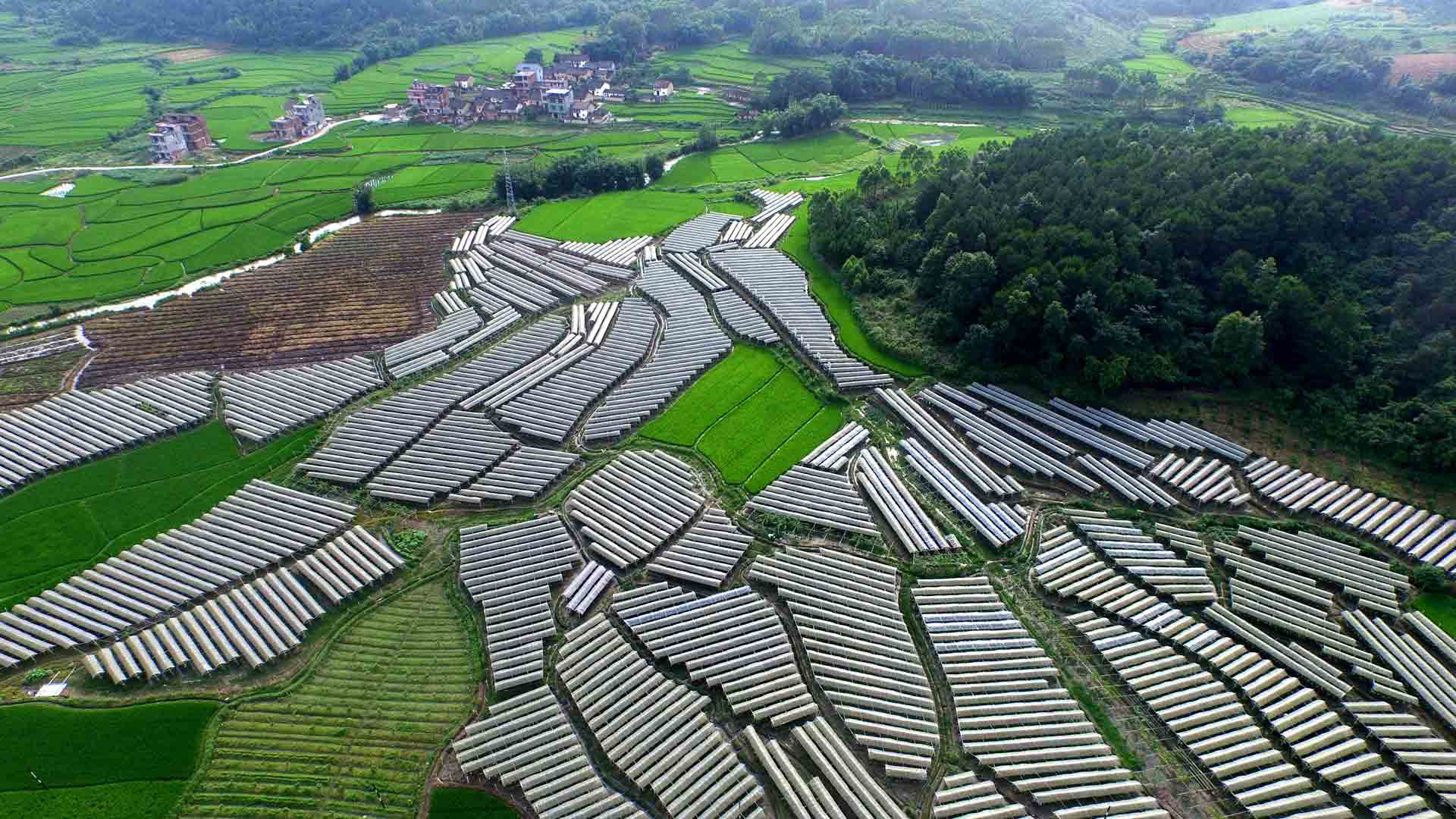 【建黨95周年&middot;光輝歷程】打贏脫貧攻堅(jiān)戰(zhàn)