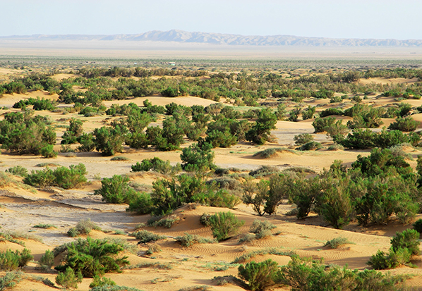 【長(zhǎng)篇通訊】塞罕壩，京城綠色屏障的前世今生
