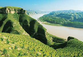 張建龍：&ldquo;三北工程&rdquo;實(shí)現(xiàn)生態(tài)、經(jīng)濟(jì)、社會(huì)效益&ldquo;多贏&rdquo;