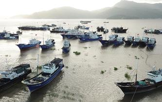 浙江蒼南：全力以赴應(yīng)對(duì)臺(tái)風(fēng)&ldquo;瑪莉亞&rdquo;