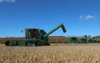 &ldquo;北大荒&rdquo;大農(nóng)機(jī)搶收忙