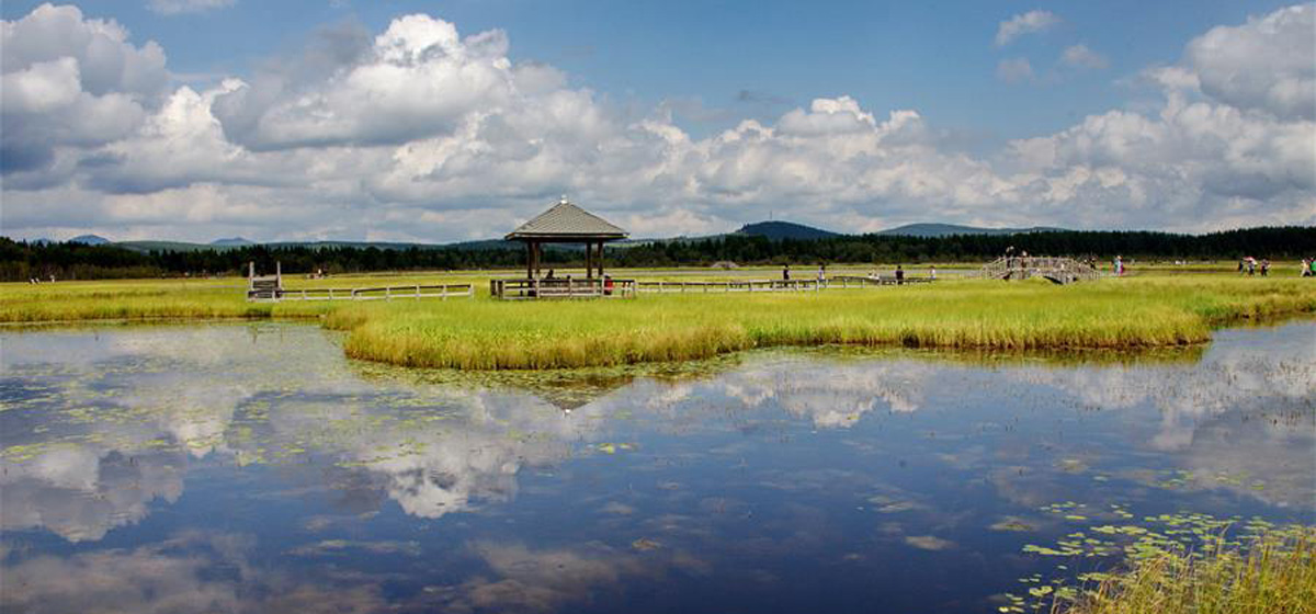 那一抹綠色，走進越來越多人心里&mdash;&mdash;河北塞罕壩續(xù)寫新時代綠色傳奇