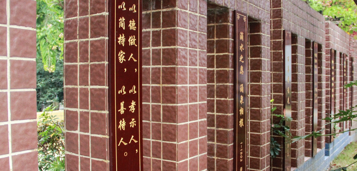 幸福感就藏在細節(jié)里&mdash;&mdash;四川綿陽韓家脊社區(qū)的美好生活探索