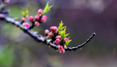 隨心而行，走走停停始終精彩。