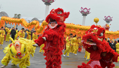 &ldquo;龍獅&rdquo;共舞賀新春