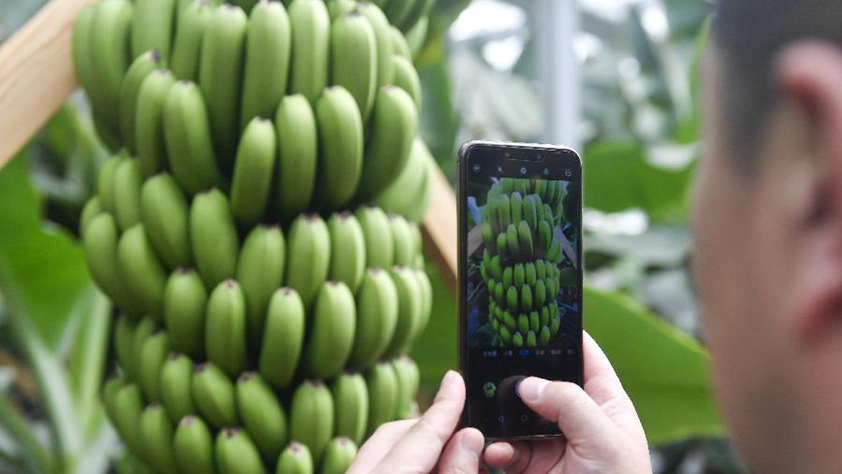 吉林萬昌現(xiàn)代農業(yè)發(fā)展先導區(qū)&ldquo;三變&rdquo;