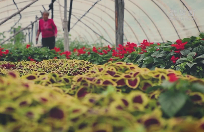 幸福來(lái)敲門丨多彩長(zhǎng)卷&middot;黑土地