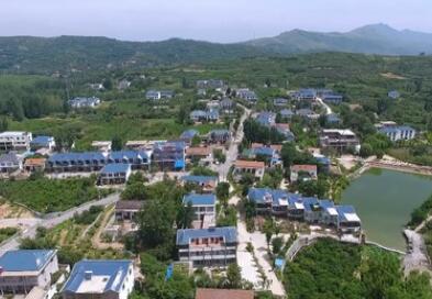 山東蒙陰：&ldquo;樹(shù)上&rdquo;的風(fēng)景