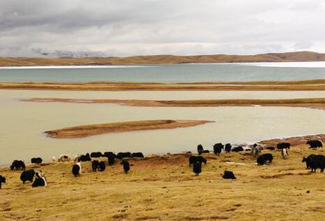 生活不只眼前的草場(chǎng)&mdash;&mdash;青海果洛編織綠色發(fā)展之夢(mèng)