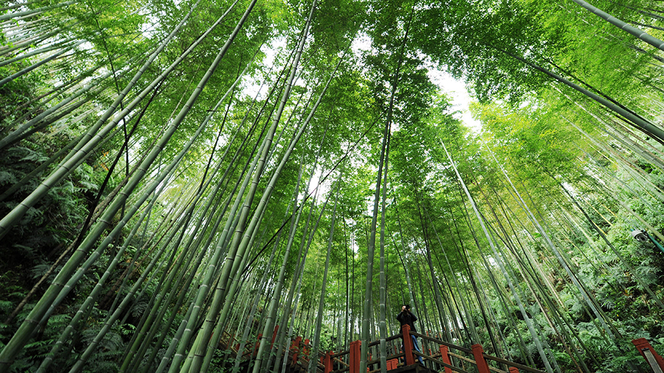 合作共治、責(zé)任共擔(dān)、效益共享&mdash;&mdash;赤水河流域跨省生態(tài)補(bǔ)償取得積極成效