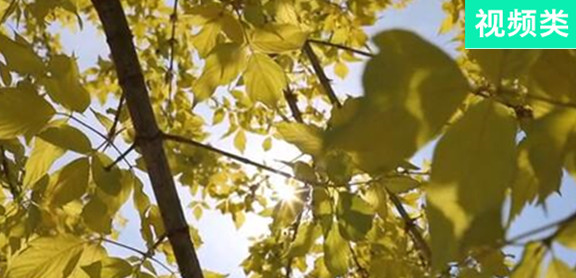 從&rdquo;失學(xué)生&ldquo;到&ldquo;研究生&rdquo;