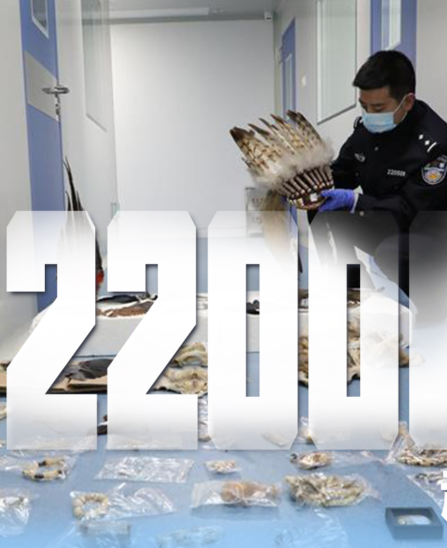 抗疫有&ldquo;法&rdquo;，就是這么給力！