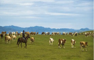 華能北方公司：奔小康，咱肯定能