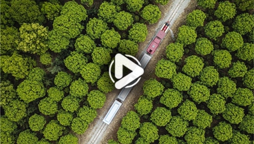 第十一集：你好！地球衛(wèi)士