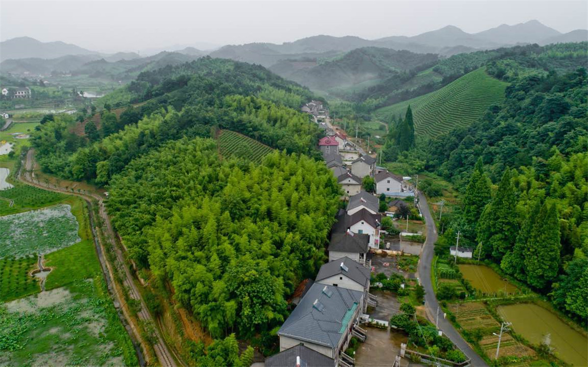 從2003年起，浙江省開展了&ldquo;千村示范、萬村整治&rdquo;工程