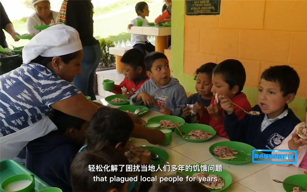 藜麥的蹤跡遍布北美、歐洲、亞洲和非洲多地