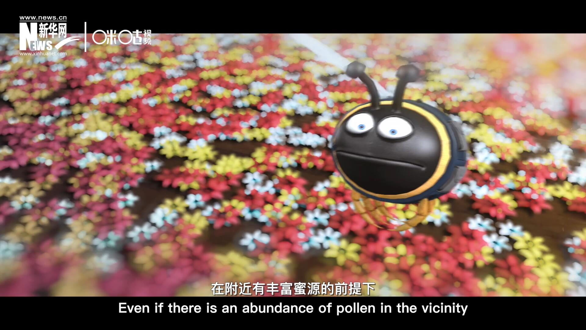 你知道一只蜜蜂采一公斤蜜有多辛苦嗎？據(jù)統(tǒng)計(jì)，在附近有豐富蜜源的前提下，一只蜜蜂大約需要飛行四萬千米