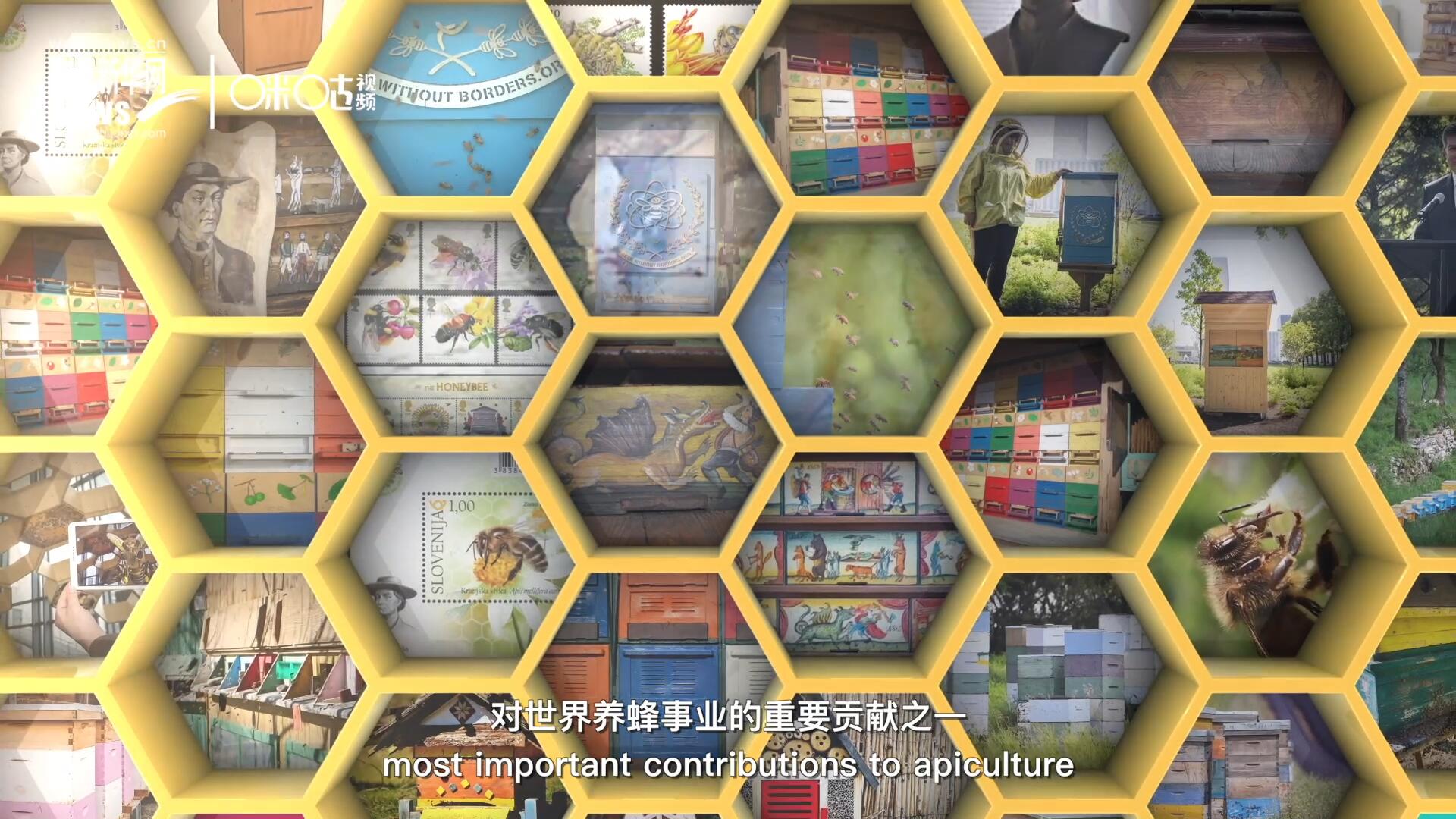 他開始用色彩豐富的畫作來裝飾蜂巢的前板，幫助不同蜂群按照習(xí)性和顏色順利找到自己的蜂巢