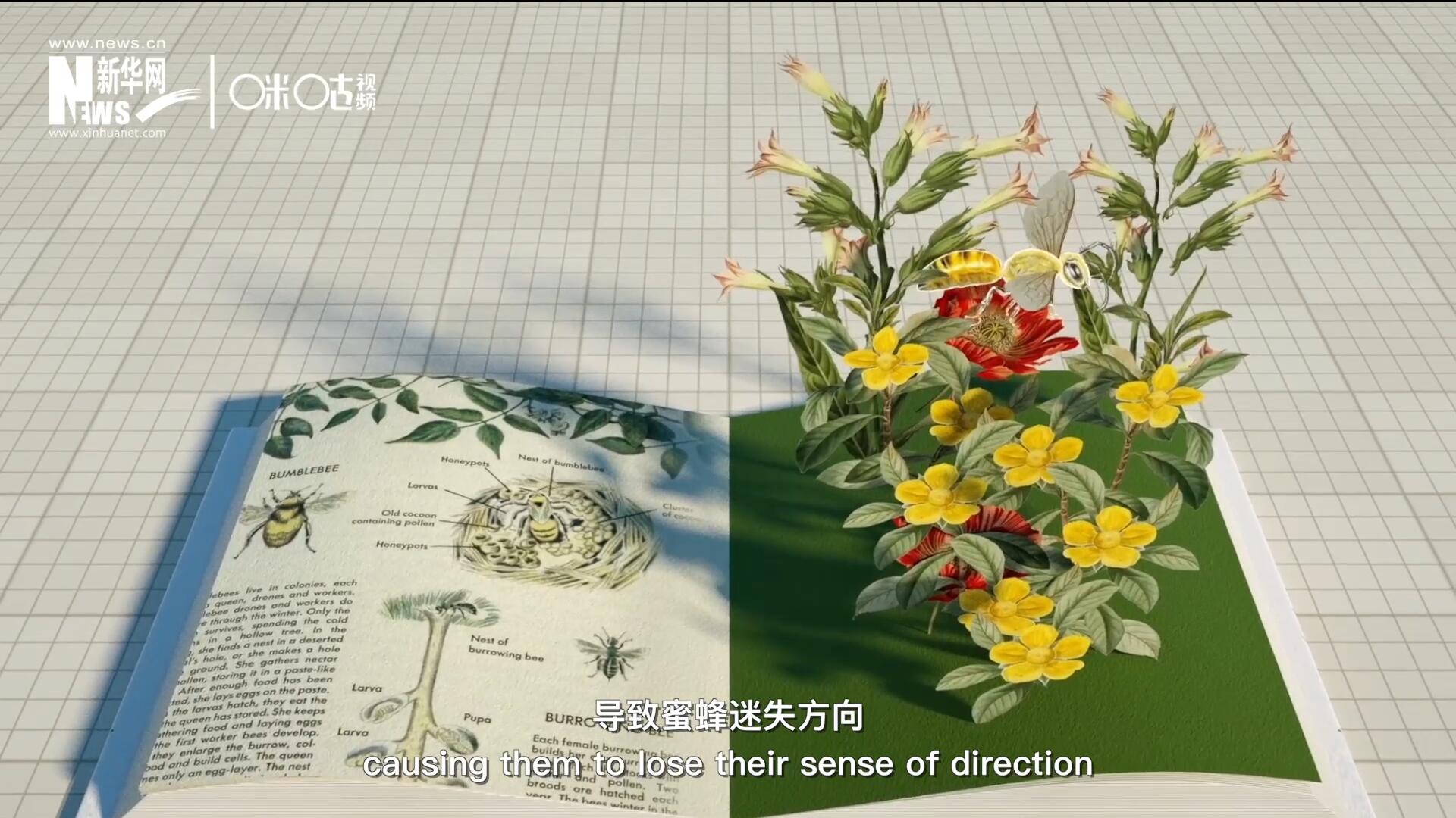 殺蟲劑會(huì)破壞蜜蜂的神經(jīng)系統(tǒng)，導(dǎo)致蜜蜂迷失方向，無法回到蜂房，還會(huì)降低蜜蜂的抵抗力