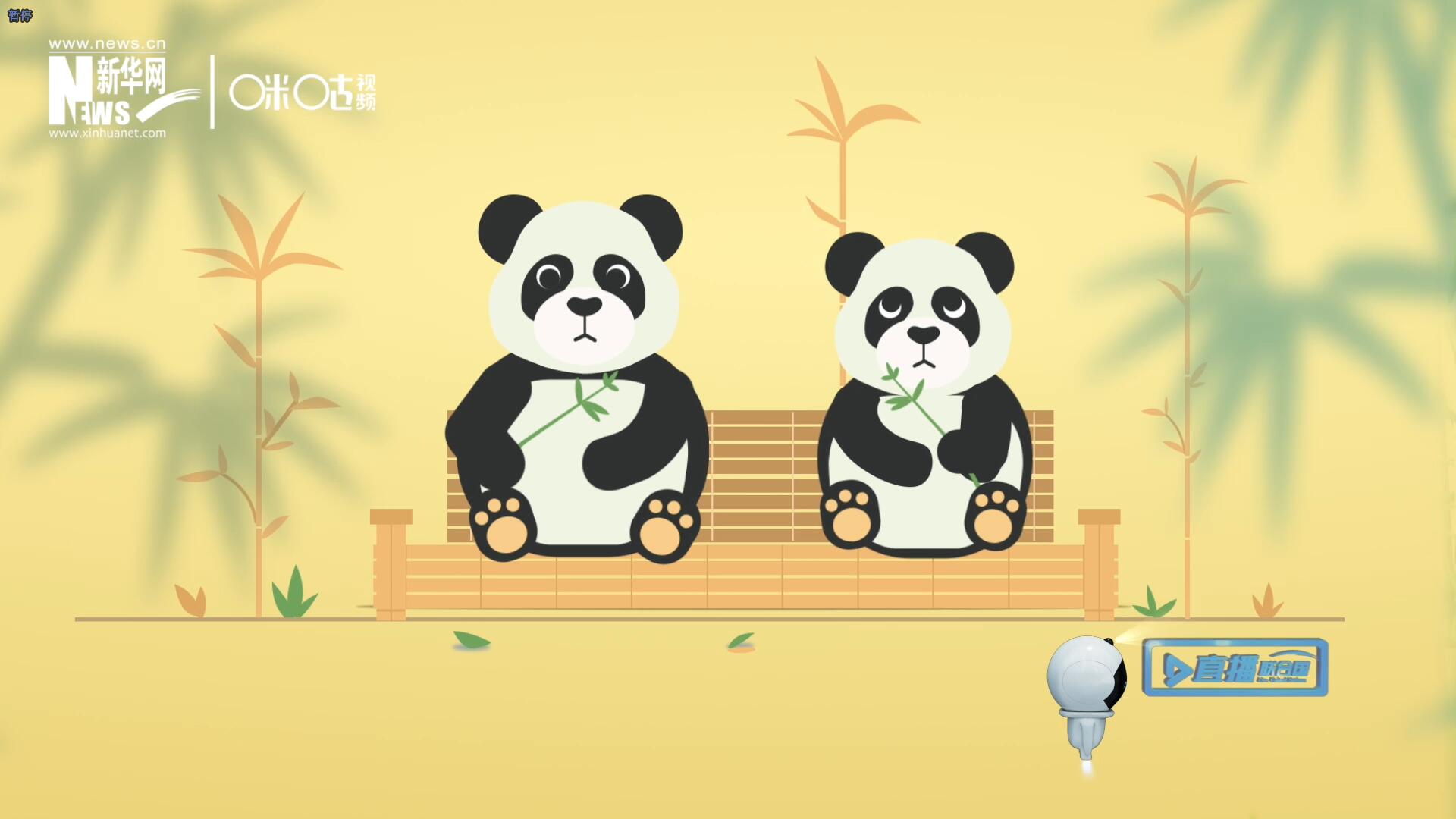 &ldquo;哥哥你看，又有人來看我們了。&rdquo;&ldquo;有什么奇怪的，我們可是聯(lián)合國&lsquo;最萌&rsquo;的大使?。?rdquo;。