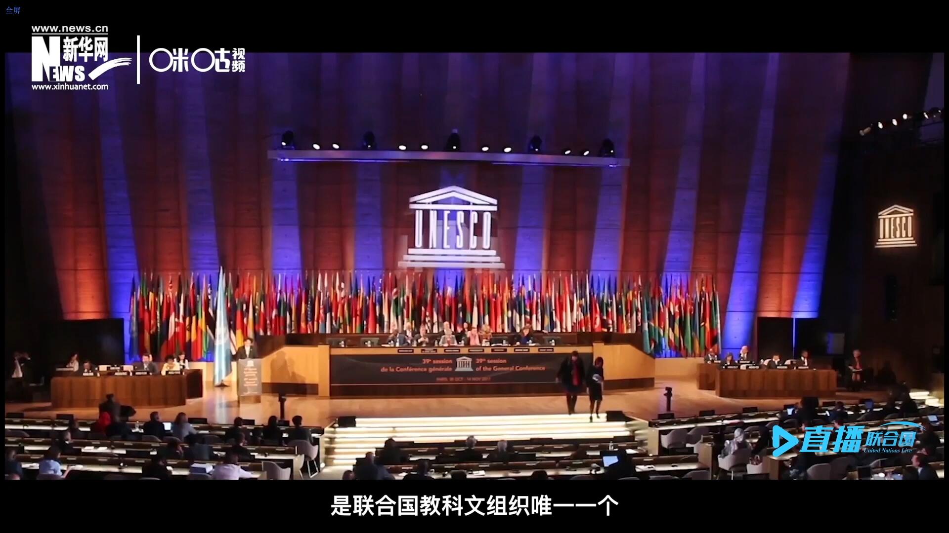 民間藝術(shù)國際組織成立于1979年，是聯(lián)合國教科文組織唯一一個以保護和挖掘國際民間藝術(shù)為工作中心的國際機構(gòu)。