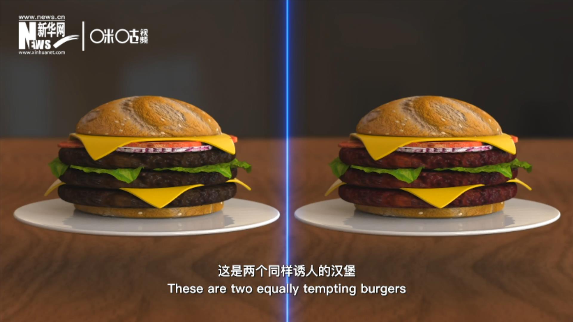 人造肉漢堡能在生產(chǎn)過(guò)程中節(jié)約水、土地、排放以及能量