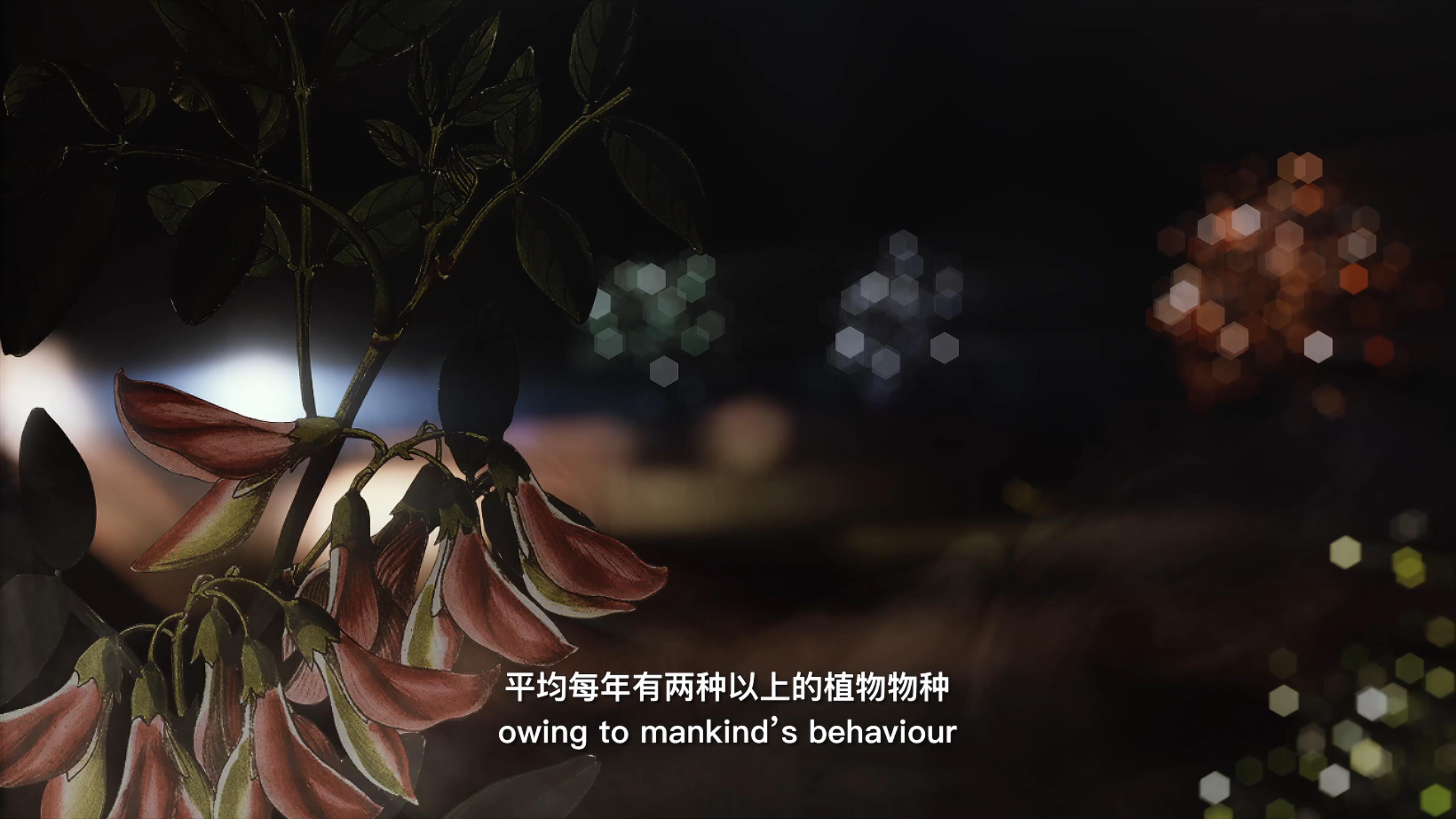 自18世紀(jì)中葉以來(lái)，許多植物物種因?yàn)槿祟惖脑蚨鴱牡厍蛏舷? />      
<div   id=