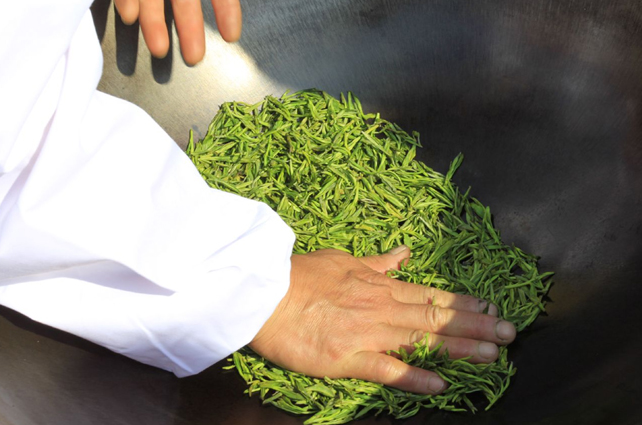 好茶占盡天時地利，炒茶師月入三五萬