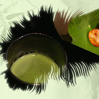 熱茶與伏天的關(guān)系，只有清涼