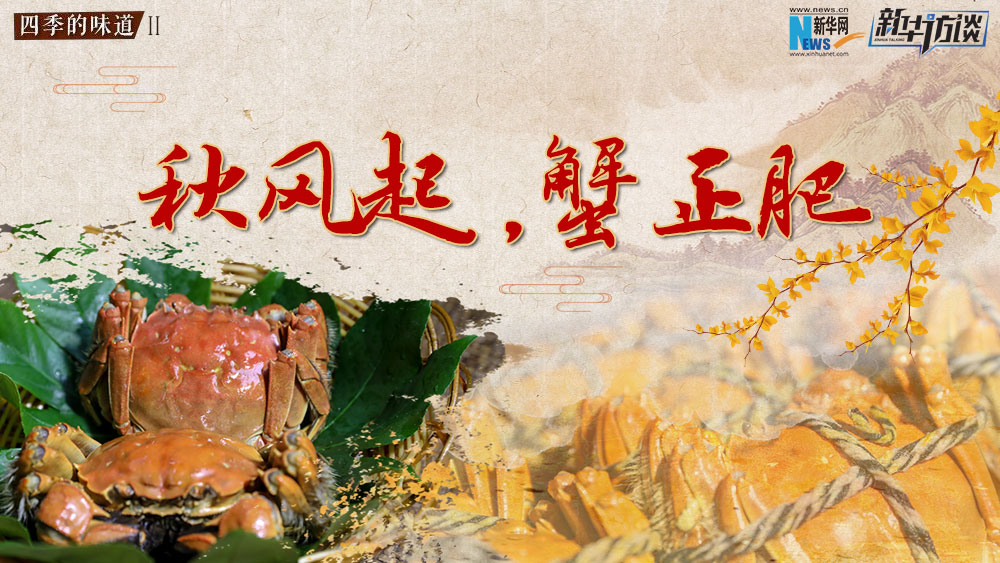 秋風(fēng)起，蟹正肥