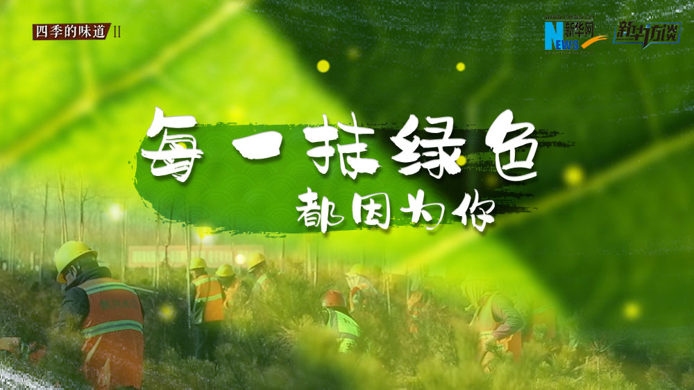 千年秀林，每一抹綠色都因?yàn)槟? /></p>
<p class=