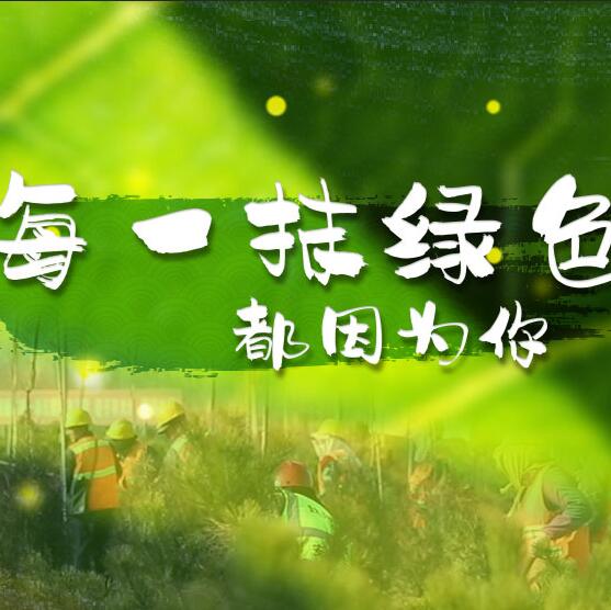 千年秀林，每一抹綠色都因?yàn)槟? /></a>       
<div   id=