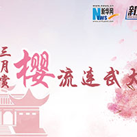 三月賞櫻，流連武大