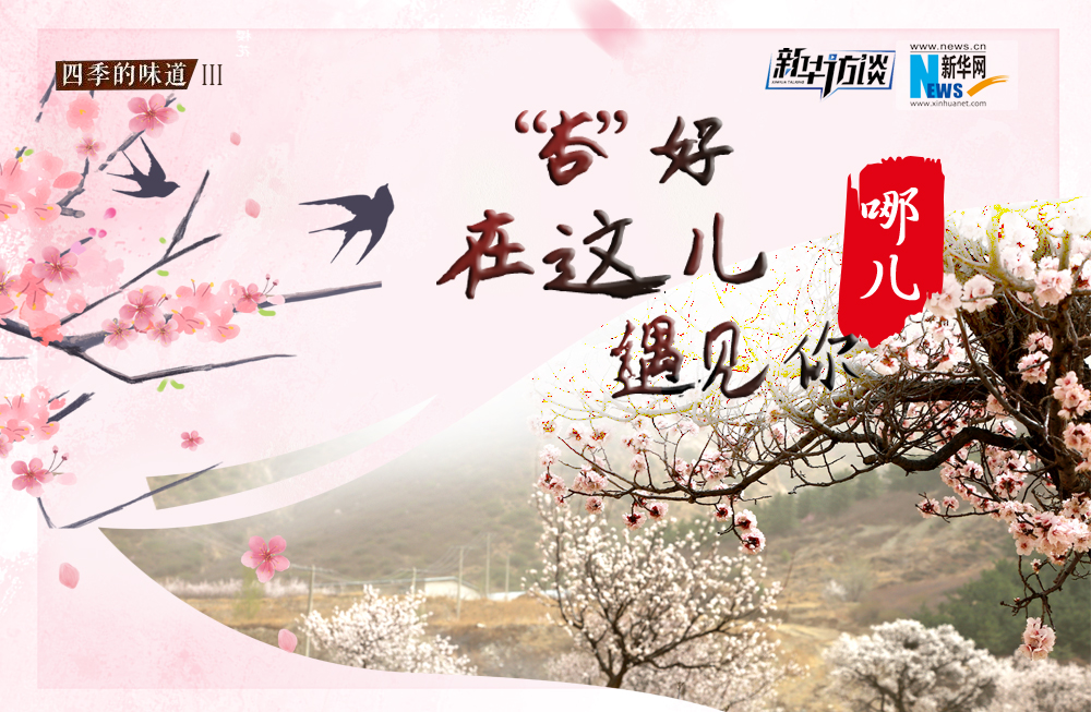 哪兒？&ldquo;杏&rdquo;好在這兒遇見你！