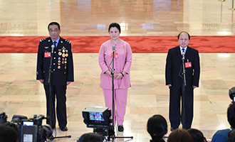 崔光日、荀笑紅、巨曉林代表接受采訪