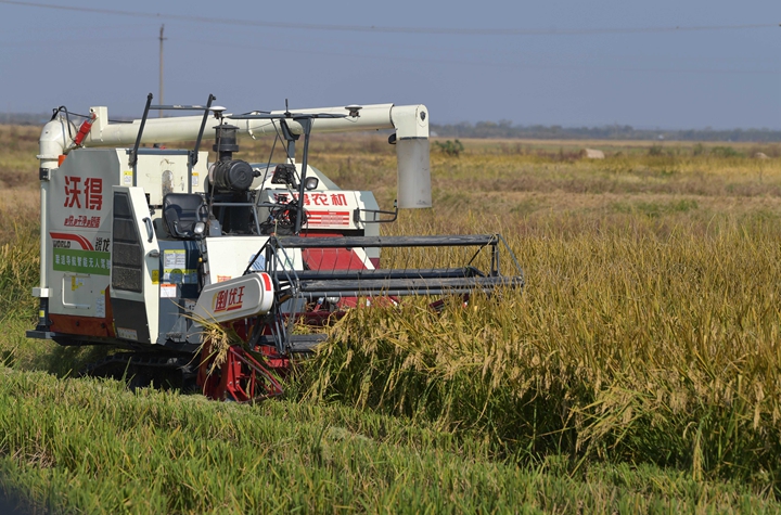 新華社評(píng)論員:穩(wěn)固耕地基本盤(pán)，打好種業(yè)翻身仗