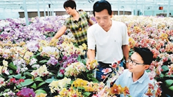 臺商眼中的改革開放：風(fēng)景這邊獨(dú)好 要去，要去，要去！